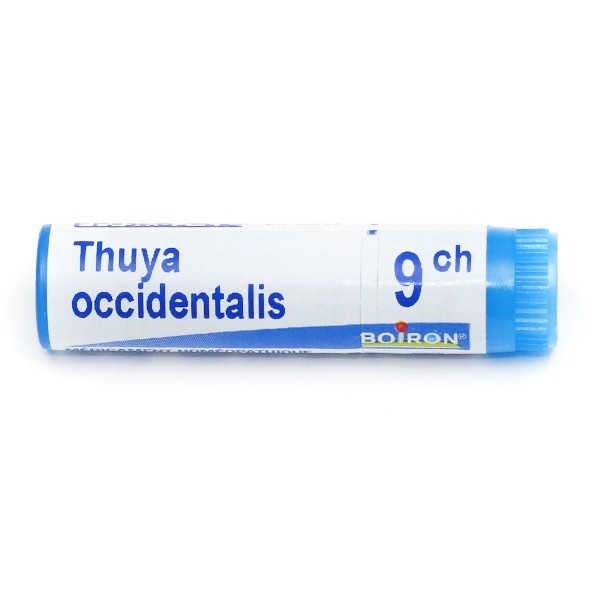 Boiron Thuya occidentalis dose