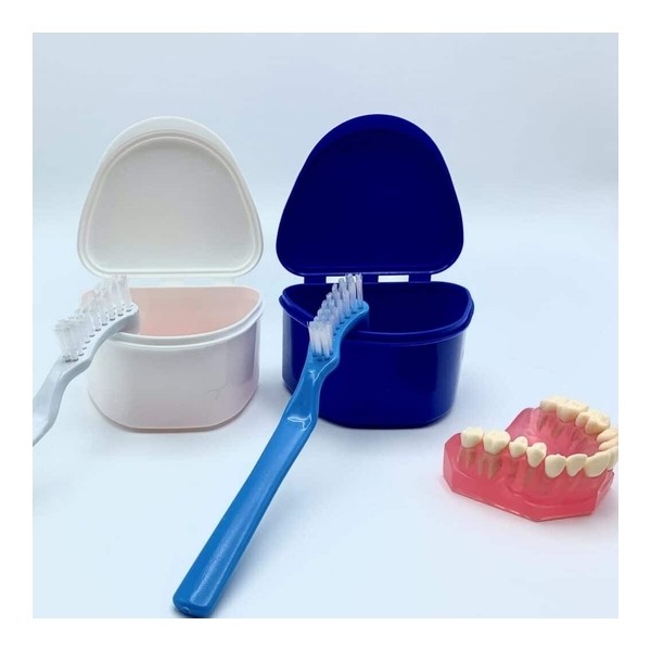 Papilli brosse pour prothèse