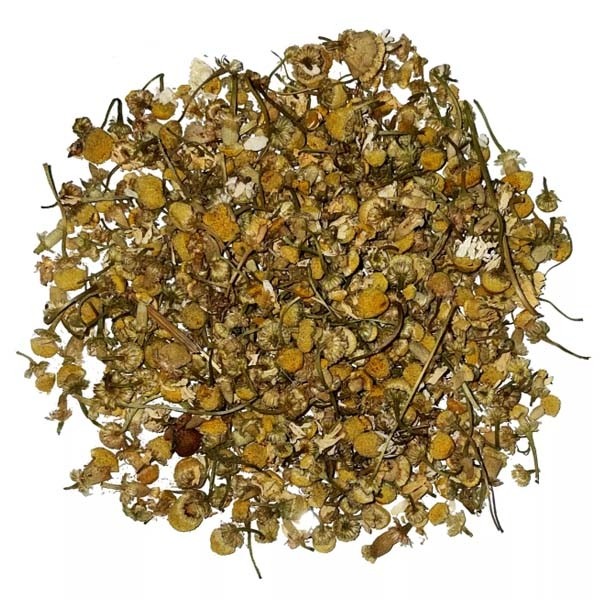 Iphym Camomille matricaire capitule entier