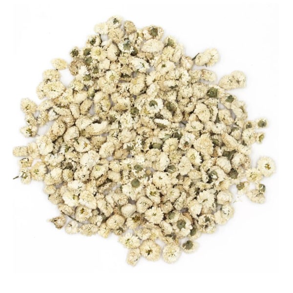 Iphym Camomille romaine capitule entier