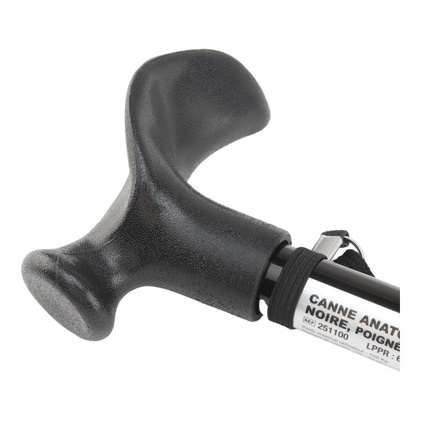 Canne de marche anatomique