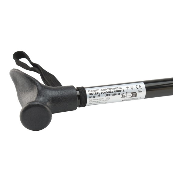 Canne de marche anatomique