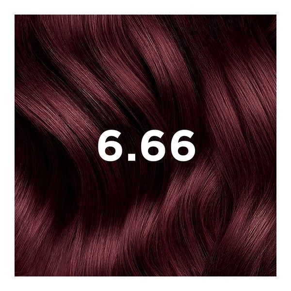 Phytocolor Kit Coloration Permanente Châtain Clair Cerise intense 6.66