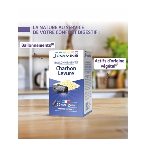 Juvamine Phyto charbon levure gélules