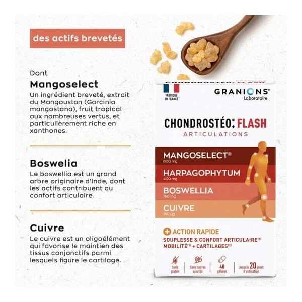 Chondrostéo+ Flash gélules
