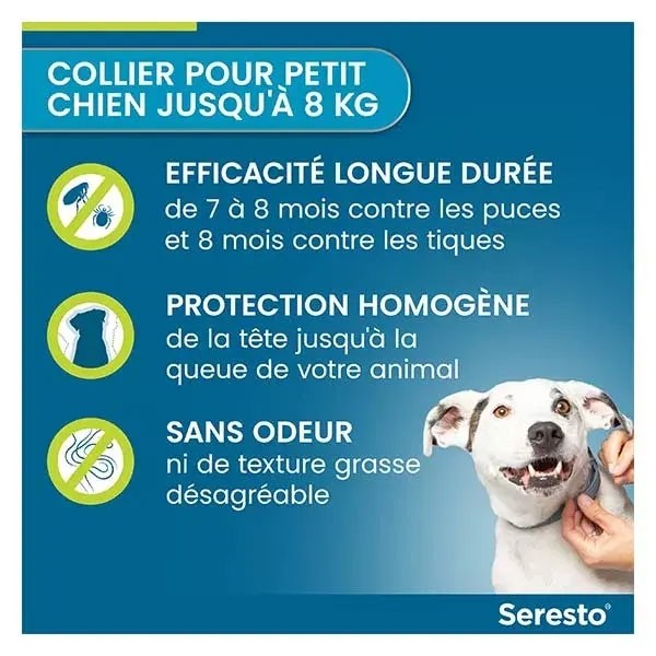 Collier anti puces Seresto petit chien