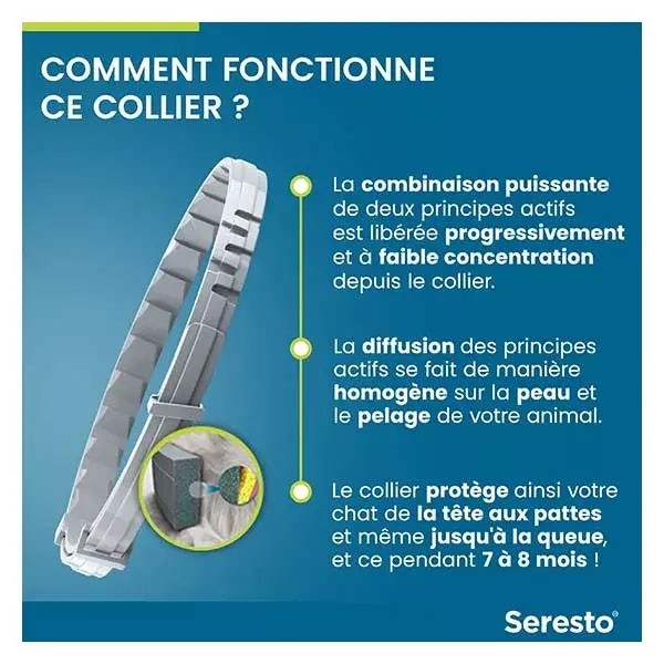 Collier anti puces Seresto Chat