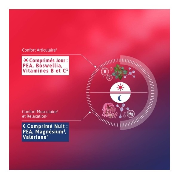 ChondroFlex jour Nuit comprimés