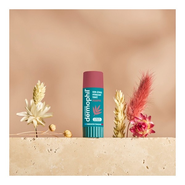 Dermophil Indien stick lèvre hydratant teinté pourpre