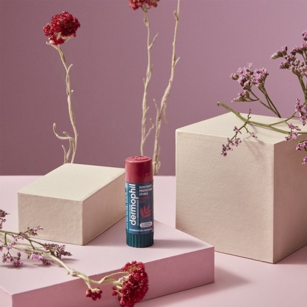 Dermophil Indien stick lèvre protection teinté pourpre rosé