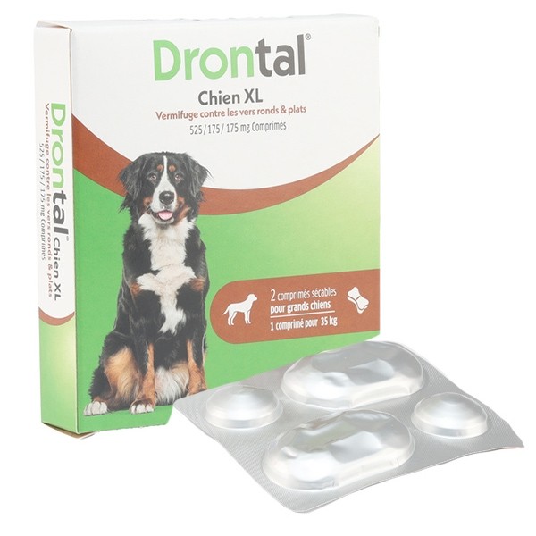 Drontal chien XL comprimés