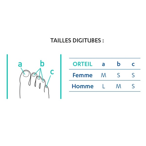 Epitact digitubes Epithelium 26
