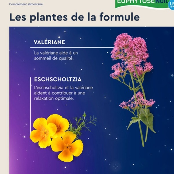 Euphytose Nuit LP 1,9 mg comprimés
