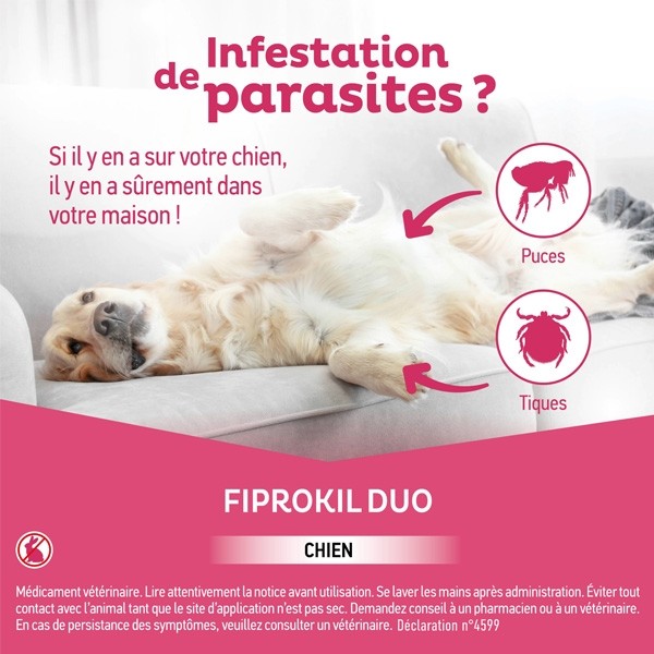Fiprokil Duo Chien Pipette anti puce