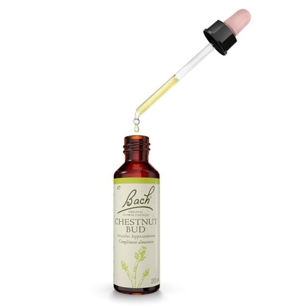 Fleurs de Bach Chestnut bud n°7