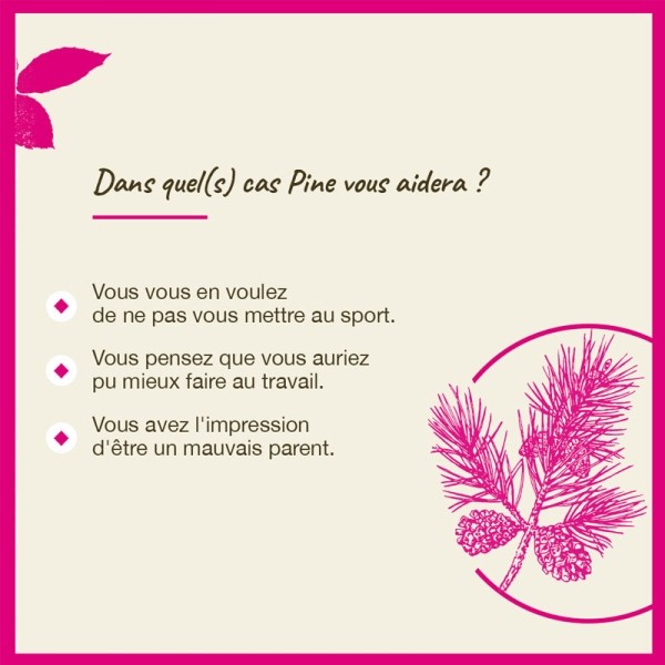 Fleurs de Bach Pine n°24