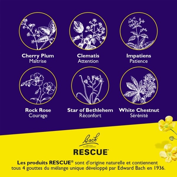 Fleurs de Bach Rescue Nuit Kids gouttes buvables
