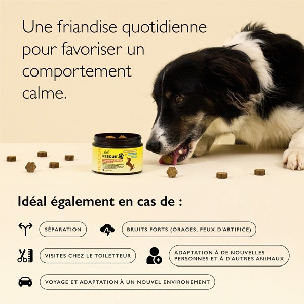 Fleurs de Bach Rescue Pets Friandises relaxantes pour chiens