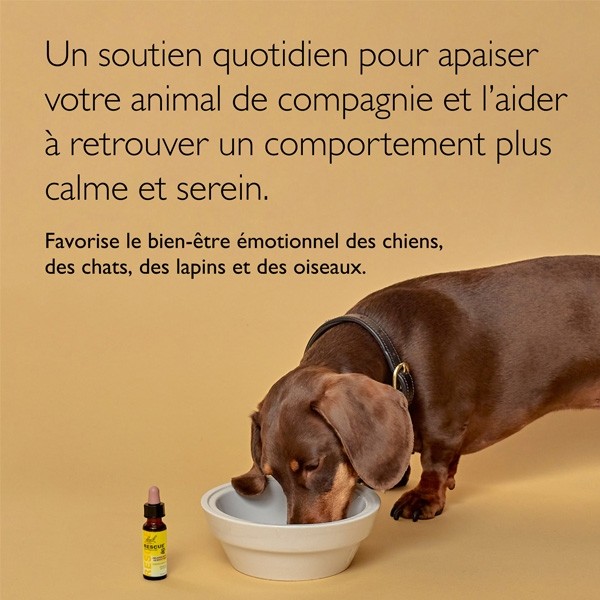 Fleurs de Bach Rescue Remedy Pets