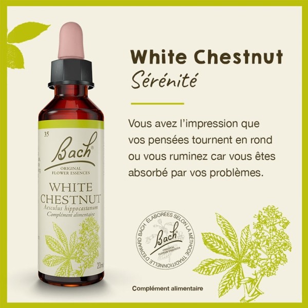 Fleurs de Bach White chestnut n°35