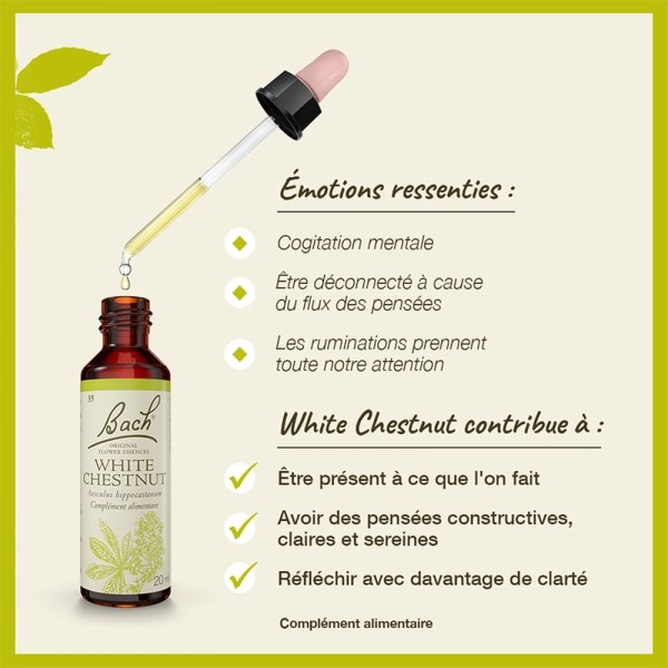 Fleurs de Bach White chestnut n°35