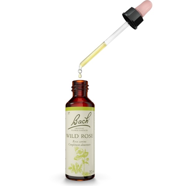 Fleurs de Bach Wild rose n°37