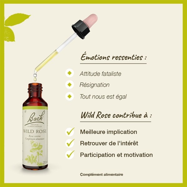 Fleurs de Bach Wild rose n°37