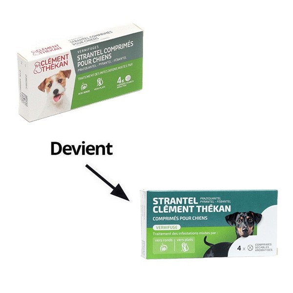 Strantel Chien comprimés vermifuge