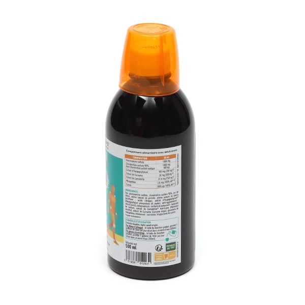 Chrondrostéo+ 1000 Articulations solution buvable