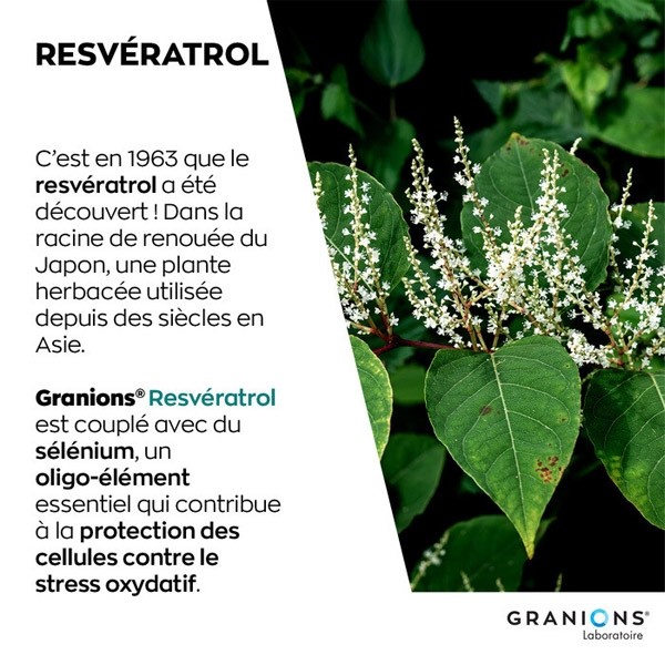 Granions resvératrol 200 mg comprimés