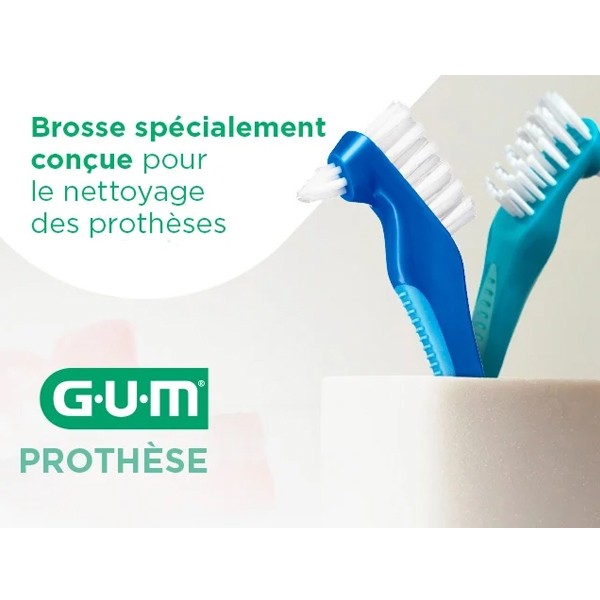 Gum brosse pour prothèse dentaire