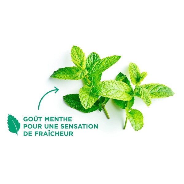 Gum Easy Flossers porte-fil dentaire ciré menthe