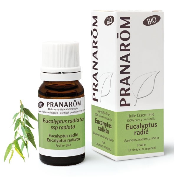 Pranarom huile essentielle Eucalyptus radié Bio