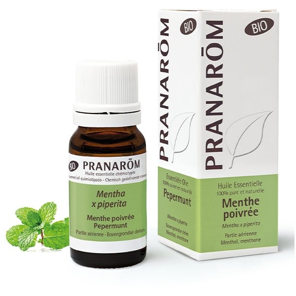 Pranarom huile essentielle de Menthe poivrée Bio