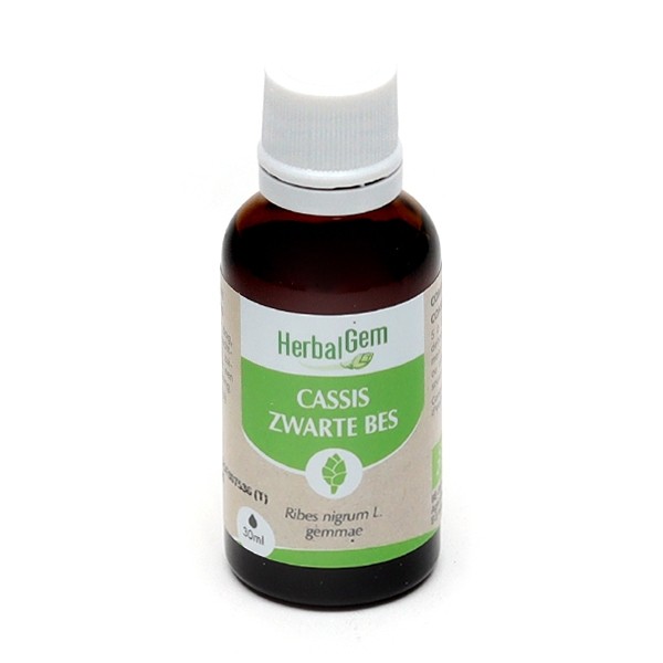 HerbalGem Cassis Bio