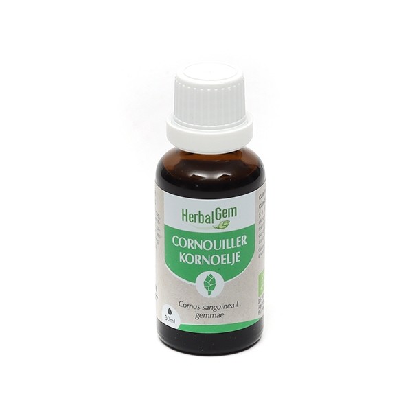 HerbalGem Cornouiller Concentré de bourgeons bio