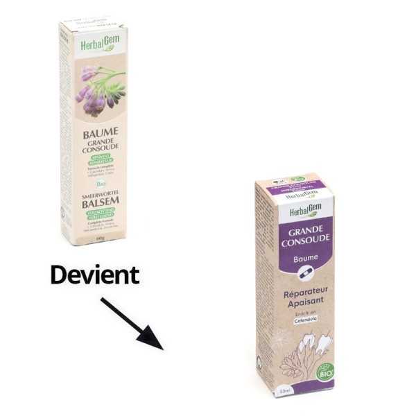 HerbalGem Baume à la grande consoude Bio