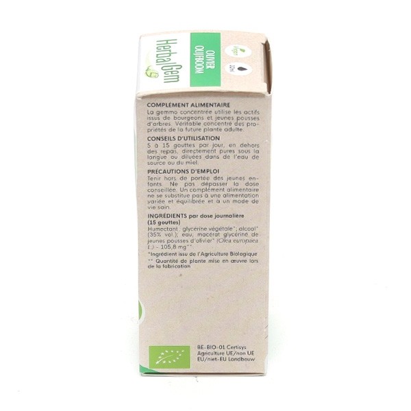 HerbalGem Olivier Jeunes pousses bio