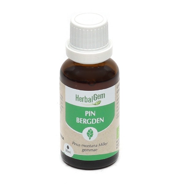 HerbalGem Pin concentré de bourgeons frais bio