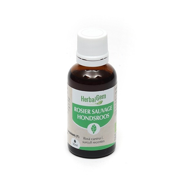 HerbalGem Rosier sauvage Concentré de bourgeons bio