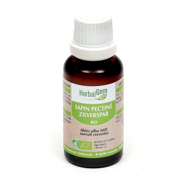 Sapin pectiné Extrait de bourgeons bio