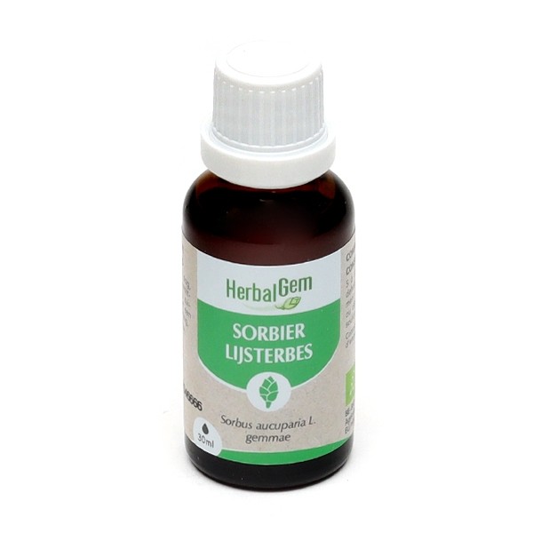 HerbalGem Sorbier concentré de bourgeons bio