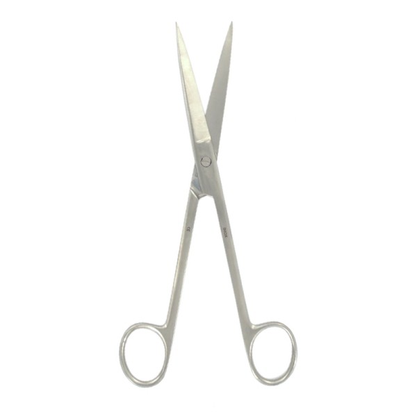 Holtex ciseaux pointus droits