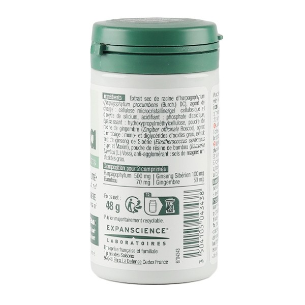 Iana articulations flexibilité et énergie comprimé