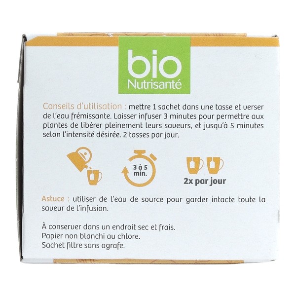 Bio Nutrisanté infusion Pumpkin chaï sachets