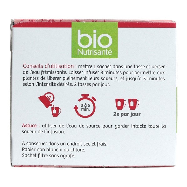 Bio Nutrisanté Thé noir Antioxydant sachets
