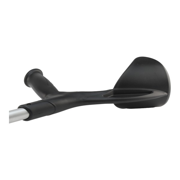 Herdegen canne anglaise Evolution