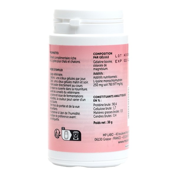 Lysine MP gélules