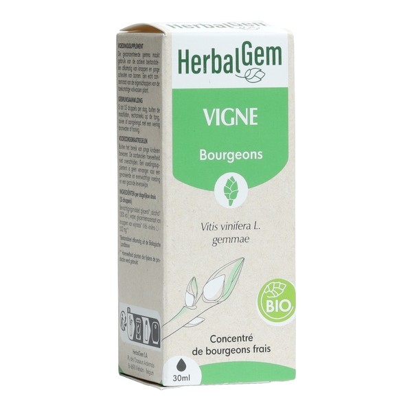 HerbalGem Vigne Macérat de bourgeons bio