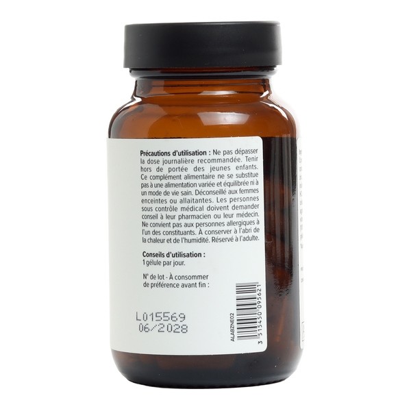 A Lab Zinc Liposomal gélules